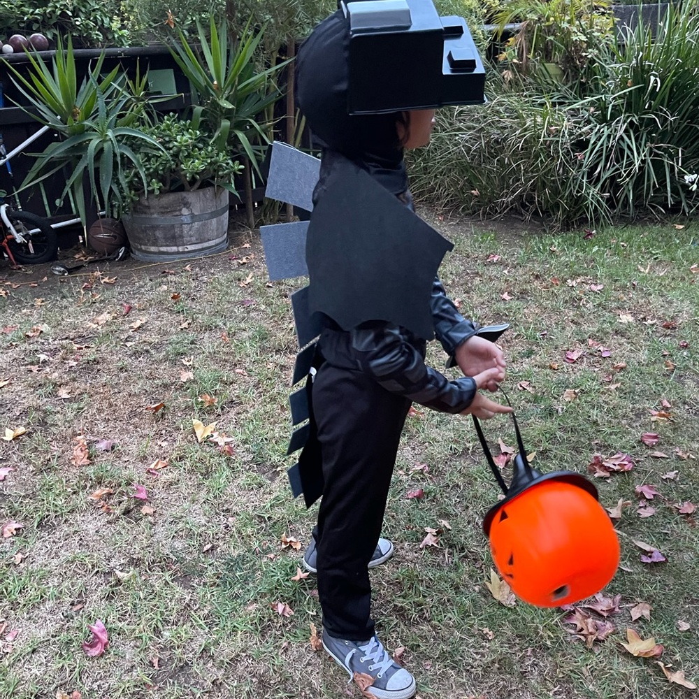 Minecraft Ender Dragon Costume size 7-8y